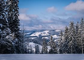 Penang Bersih anniversary heckled, two arrested