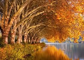Macaron Decorating Contest, Gurney Plaza