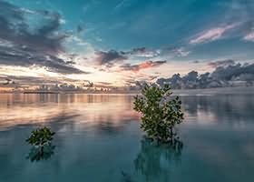 Redbull Monkey Run @ Straits Quay, 2-6 June 2012